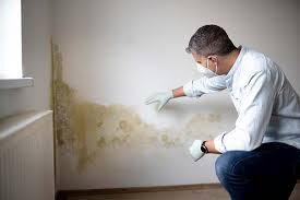 Best Mold Odor Removal Services in De Leon, TX